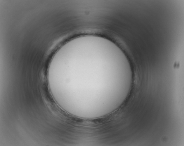 X0000114670636200910211009