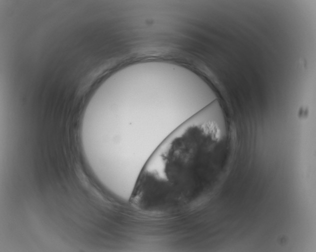 X0000114670637200910211009