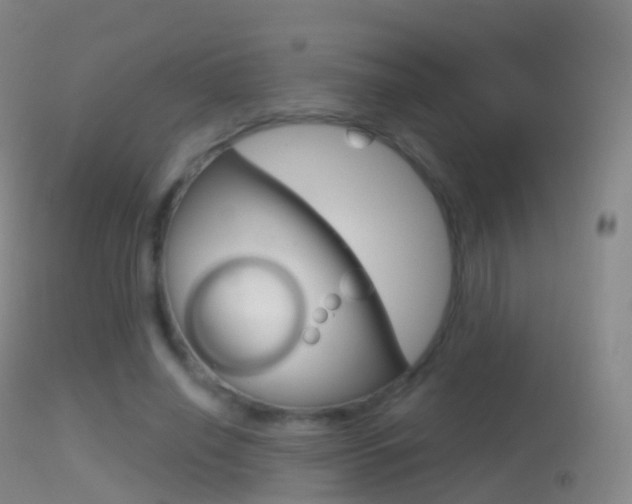 X0000114670638200910211009