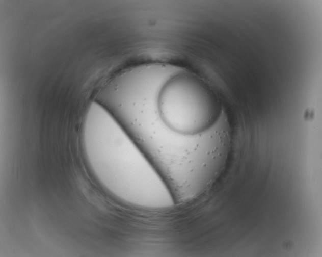 X0000114670639200910211009
