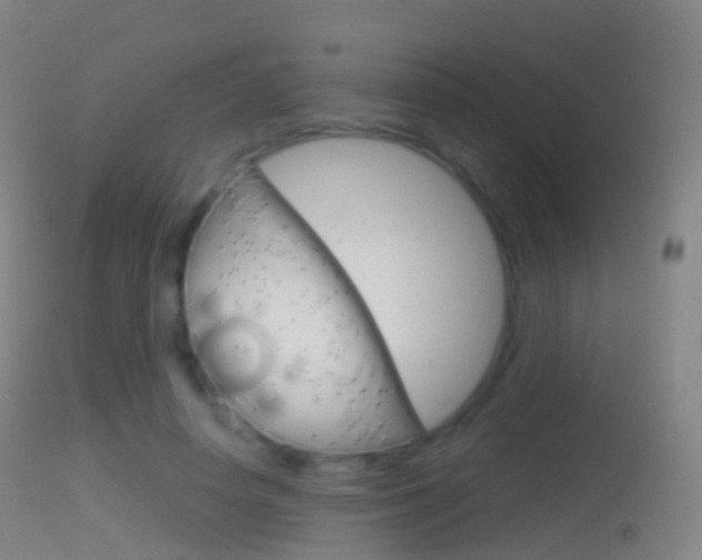 X0000114670642200910211009