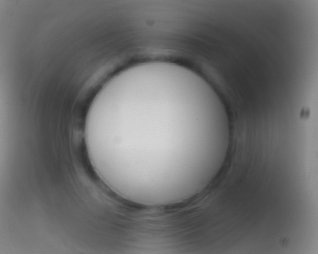 X0000114670644200910211009