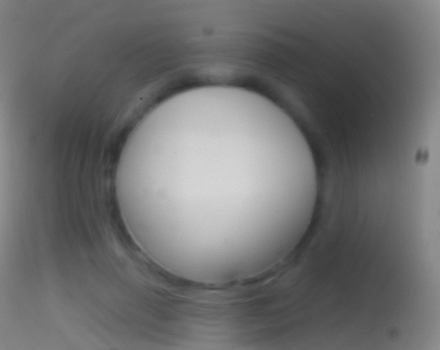X0000114670645200910211010