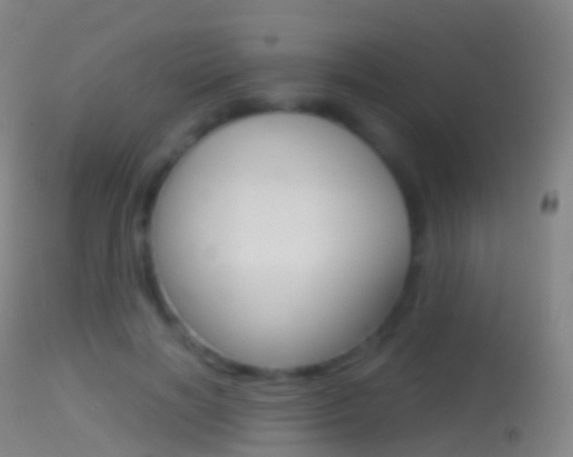 X0000114670646200910211010