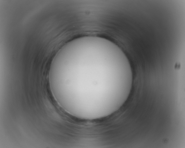 X0000114670647200910211010