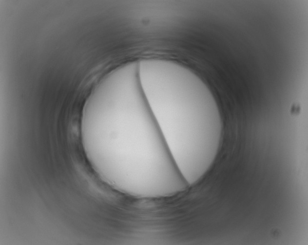 X0000114670648200910211010