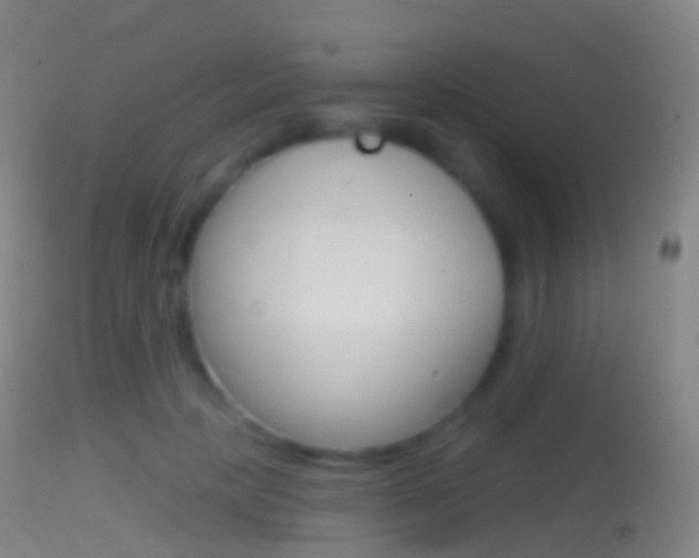 X0000114670649200910211010