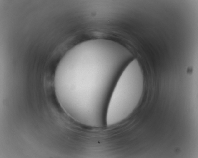 X0000114670651200910211010