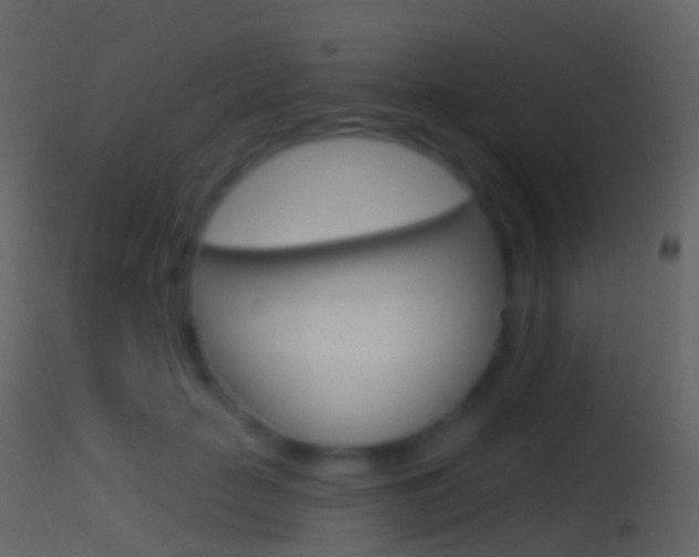 X0000114670653200910211010