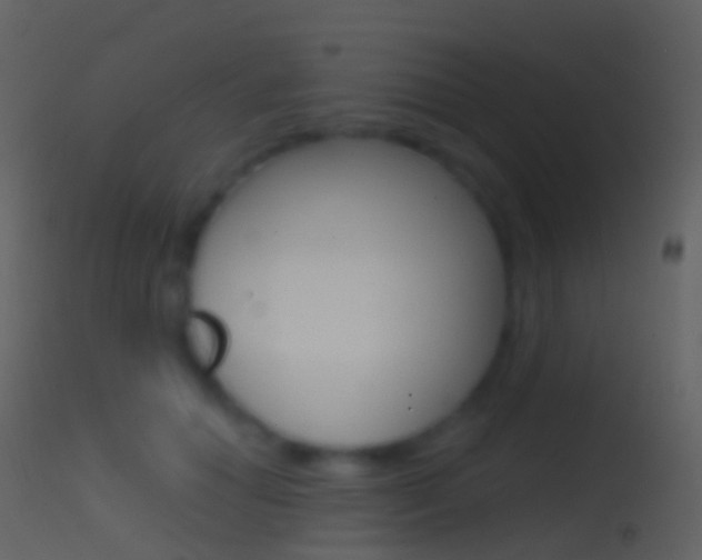 X0000114670654200910211010