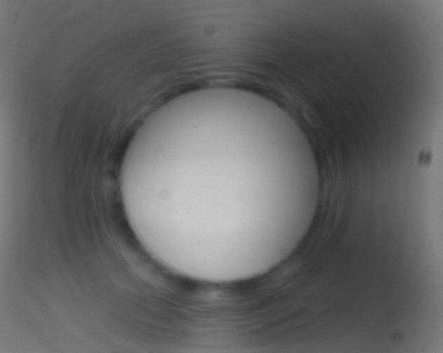 X0000114670655200910211010