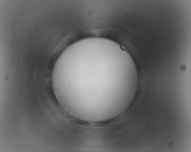 X0000114670656200910211010