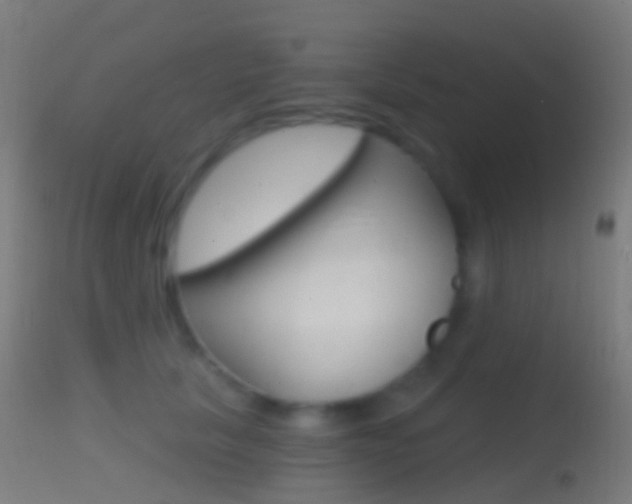 X0000114670657200910211010