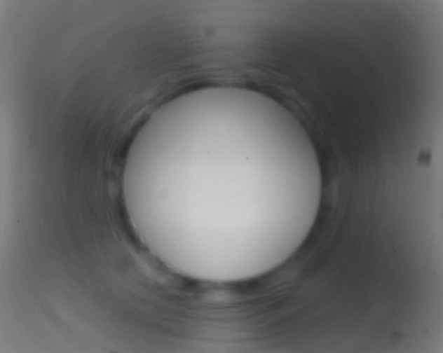 X0000114670658200910211010