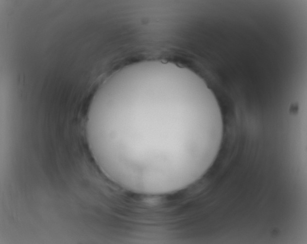 X0000114670659200910211010