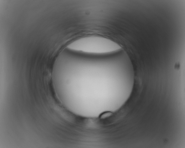 X0000114670660200910211010