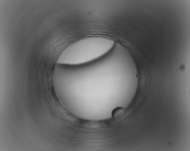 X0000114670661200910211010