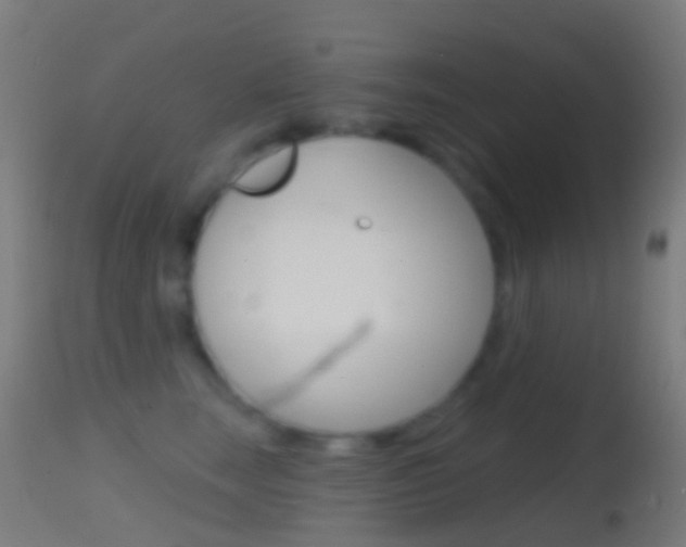 X0000114670663200910211010