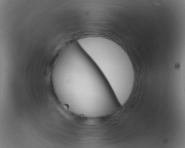 X0000114670664200910211010