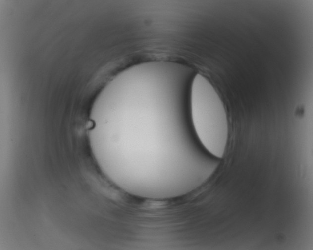 X0000114670665200910211010