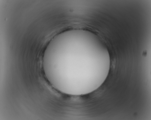 X0000114670666200910211010