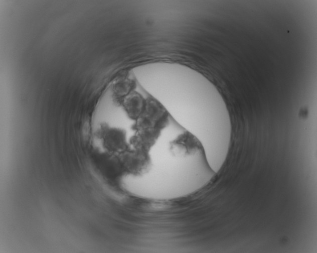 X0000114670668200910211010