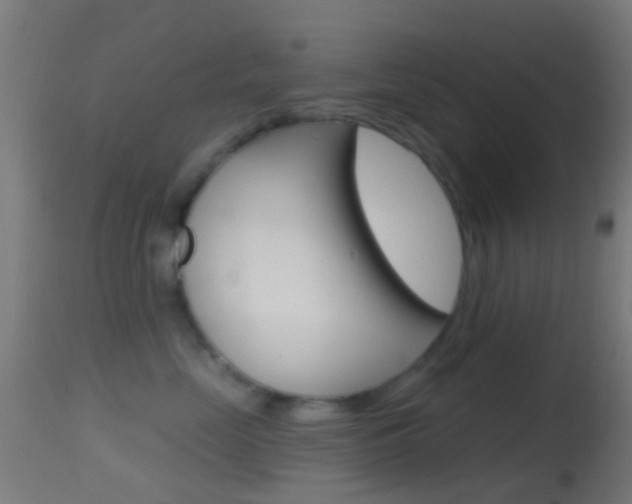 X0000114670669200910211010