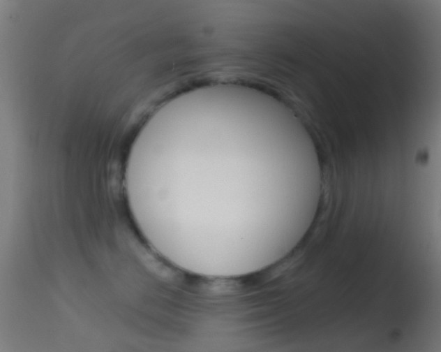 X0000114670670200910211010