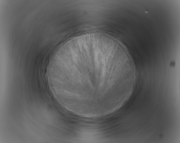 X0000114670671200910211010