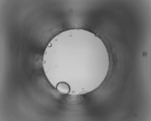 X0000114670672200910211010