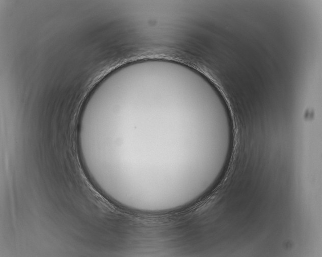 X0000114670673200910211009