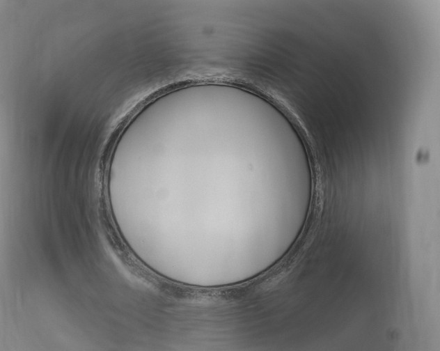 X0000114670674200910211009