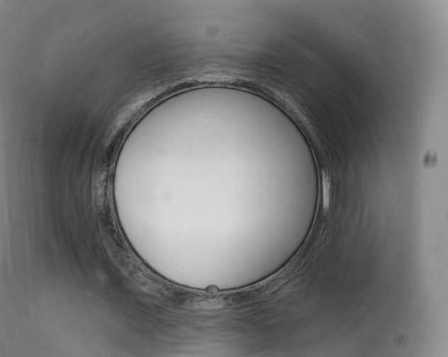 X0000114670675200910211009