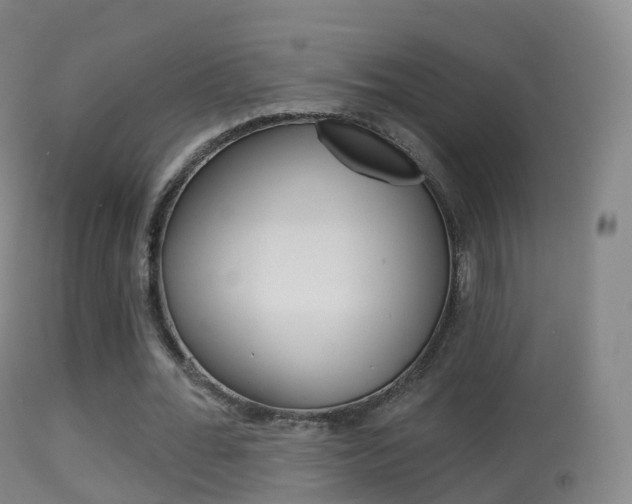 X0000114670676200910211009