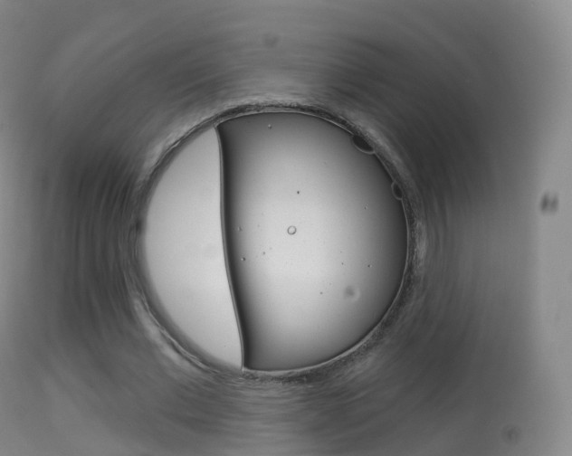 X0000114670677200910211009