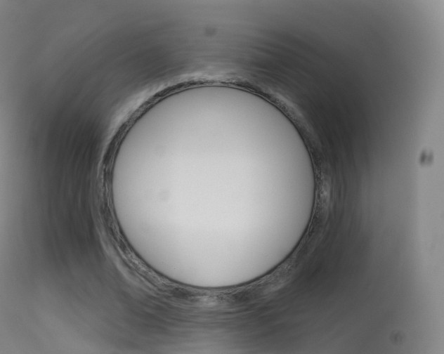X0000114670678200910211009