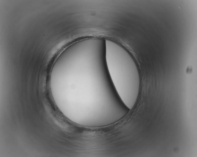 X0000114670679200910211009