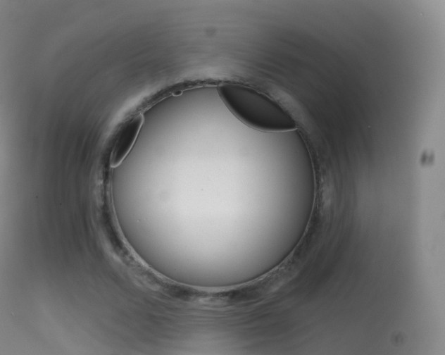 X0000114670680200910211009