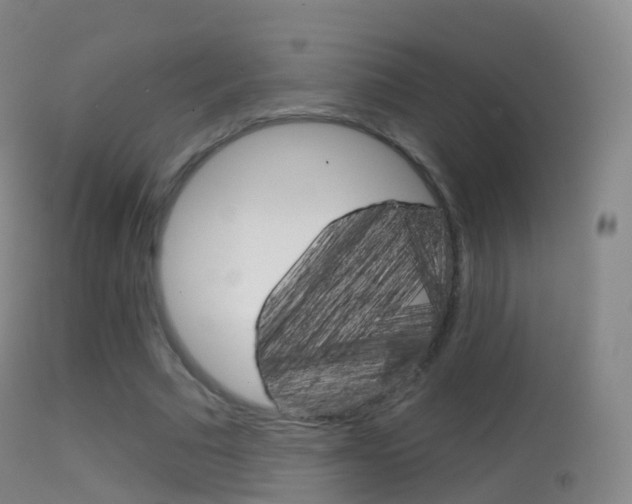 X0000114670681200910211009