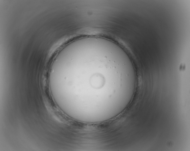 X0000114670682200910211009