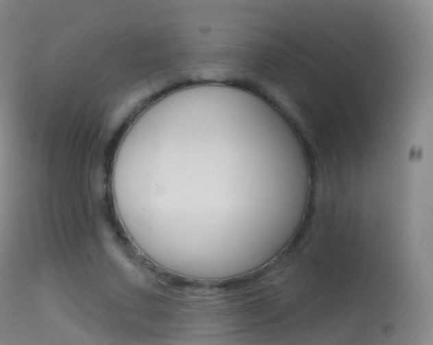 X0000114670683200910211009