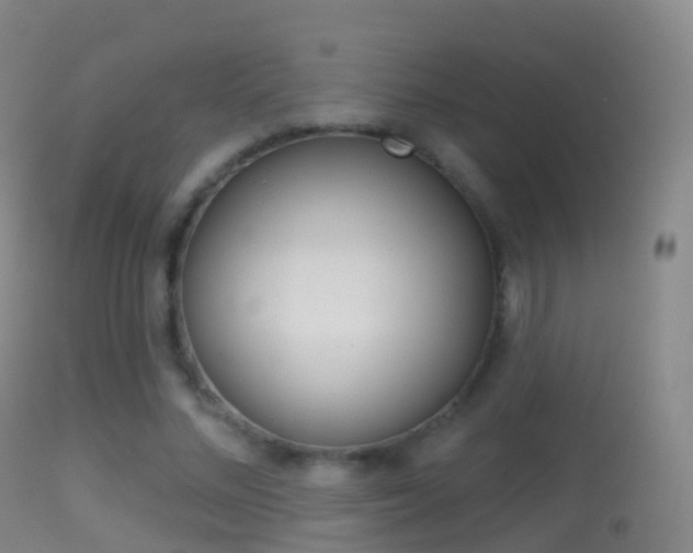 X0000114670684200910211009