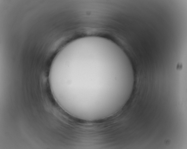 X0000114670691200910211009