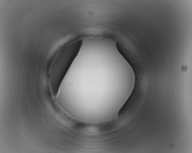 X0000114670692200910211009