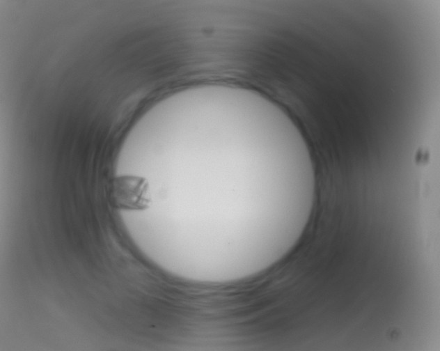 X0000114670693200910211009
