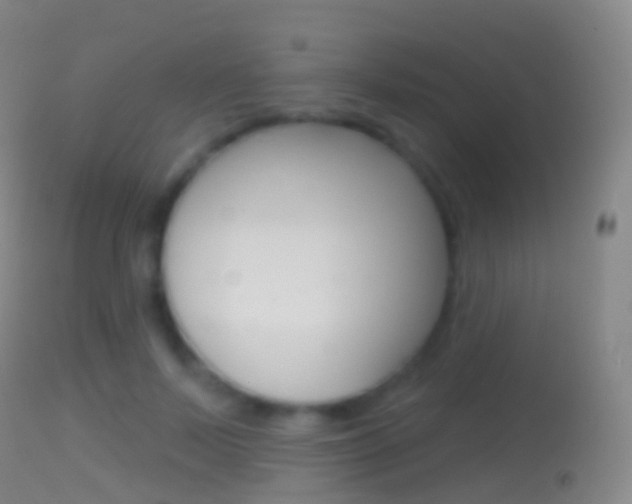 X0000114670695200910211009
