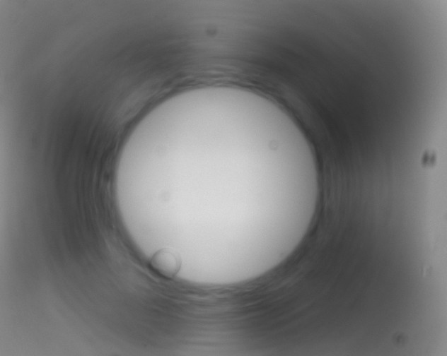 X0000114670696200910211009