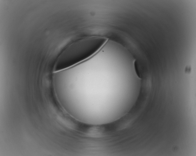 X0000114670700200910211009