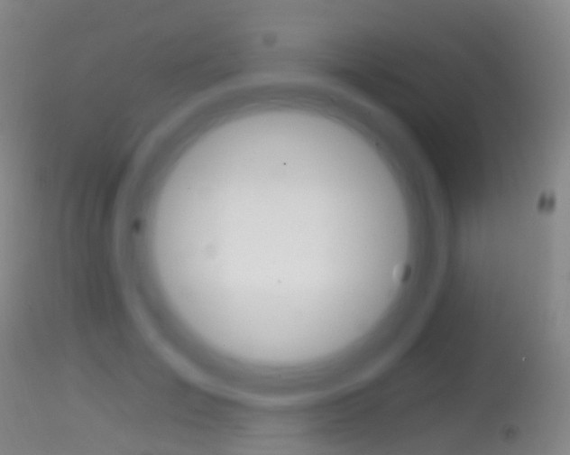 X0000114670701200910211009