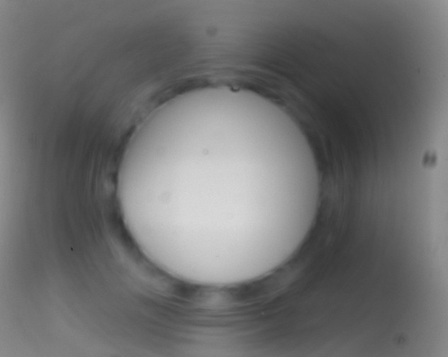 X0000114670702200910211009